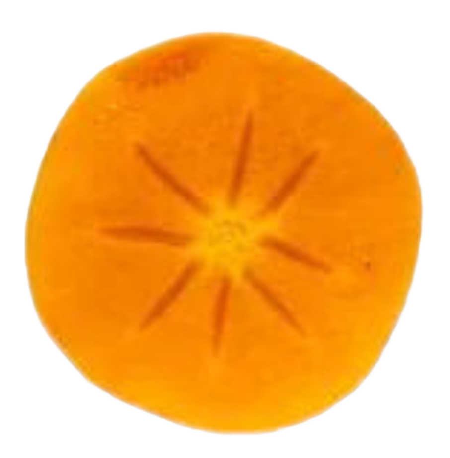 Persimmon Sun Gardens